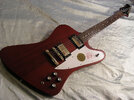 big%20epiphone%20firebird%20studioDSCN0715.jpg