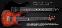 2guitars-dc800.jpg