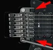 FloydRose.webp