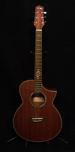 Ibanez EWPD.webp Ibanez EWPD.webp
