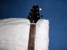 100_2044.jpg