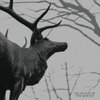 Agalloch+-+The+Mantle+%u0025255B2002%255D.jpg