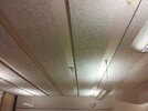 20111211_141444.jpg 20111211_141444.jpg