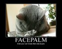 Facepalm_Cat___Motivational_by_L4D2_fan.jpg Facepalm_Cat___Motivational_by_L4D2_fan.jpg