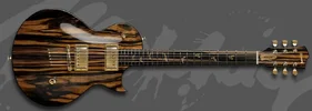 Custom Les Paul II.webp