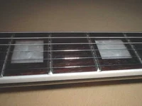 LP5.webp