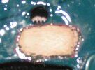 gitarrenholz4.JPG