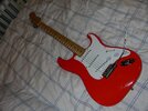 DSC03421.jpg