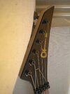 Charvel headstock.jpg