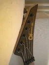Charvel headstock.webp