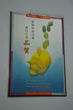 2012-02_HongKong-5920.webp