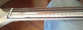 fretless - sattel.jpg