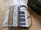 Hohner Carmen I.jpg