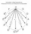 Modulation-variantisch.jpg