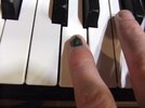Littele finger.jpg