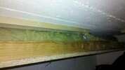 2012-05-05_19-50-29_554.jpg