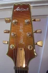 headstock.webp