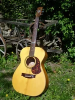 maton_TEBG808.webp maton_TEBG808.webp