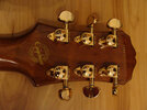 pic14 _ Epiphone Les Paul Standart.jpg