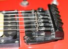 Epiphone-FloydRose-makro.jpg