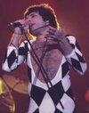 FreddieMercuryNov1978.jpg