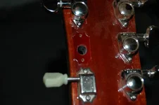 grovered4.webp grovered4.webp