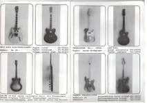 Thinline und Solidbody_klein.webp