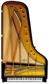 Bechstein_D280_top_view.jpg