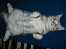 DSC03794.jpg