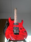 IMG_20120126_133541.jpg