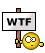 Smiley Shield WTF.gif