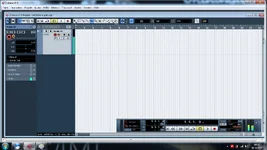 5.webp