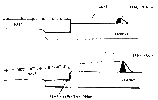 ws1510.gif
