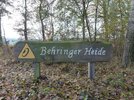 behringer_heide_klein.jpg