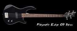 playmate_edge_09_bass.jpg