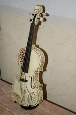 IMG_2361.webp