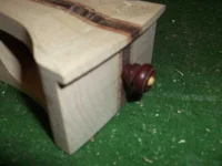 Bild 288.webp