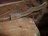Bild 302.webp