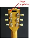 LP_Headstock.webp