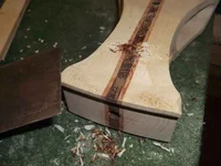 Bild 313.webp