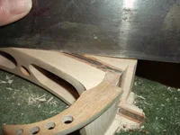 Bild 319.webp