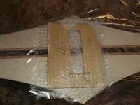 Bild 337.webp