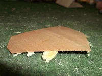 Bild 355.webp