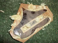 Bild 356.webp