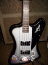 T_bird_silver_03.jpg