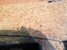 IMG_0211.jpg IMG_0211.jpg