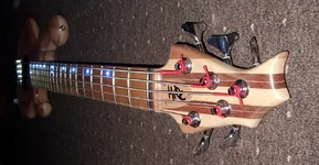 Bass.webp