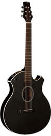 Parker-P6E-Event-Series-Black.jpg