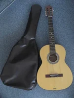 HÃ¶fner Gitarre.webp