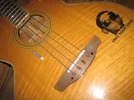 takamine.webp